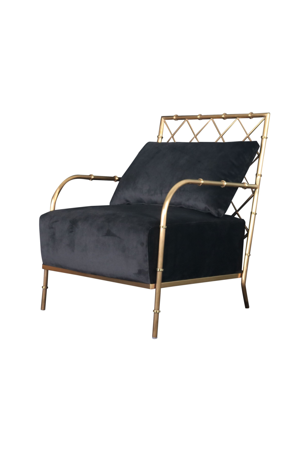 Velvet Padded Accent Chair | OROA Modern Ignacio | Oroa.com