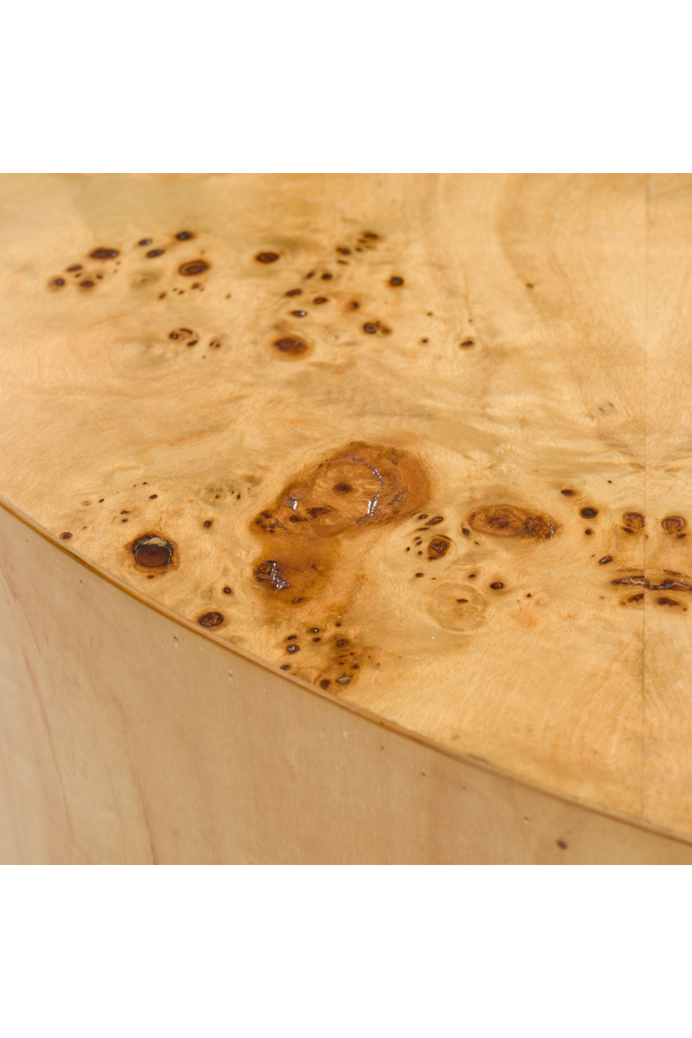 Burl Wood Coffee Table | OROA Modern August | Oroa.com