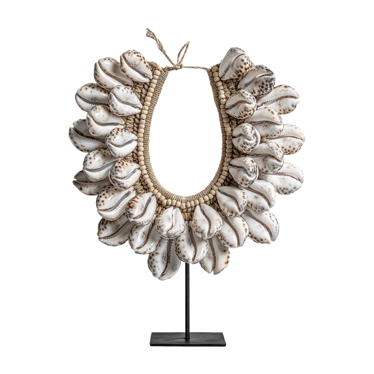 Modern European furniture - Natural Shells Decorative Object - www.oroa.com | Oroa.com