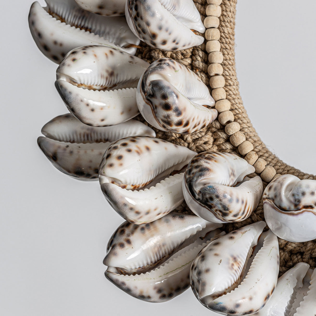 Modern European furniture - Natural Shells Decorative Object - www.oroa.com | Oroa.com