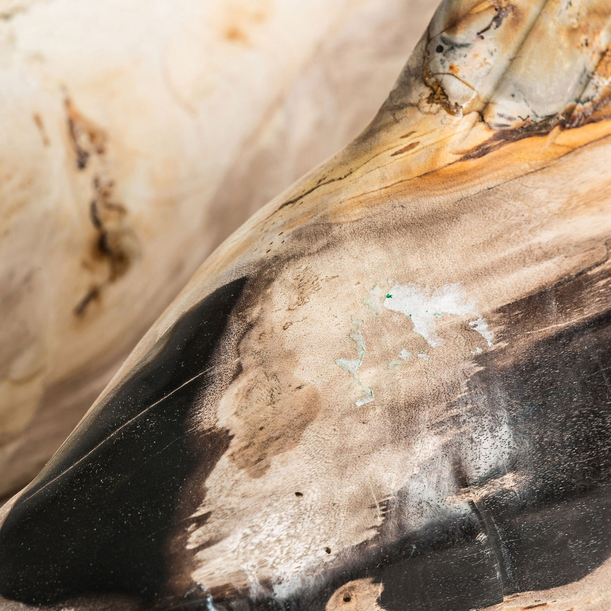 Petrified Wood Decorative Figure | Oroa.com