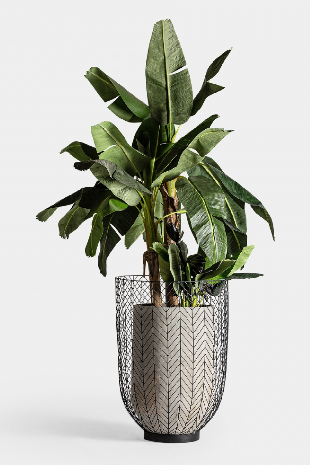 Black Metal Planter (2) | Vical Home | Oroa.com