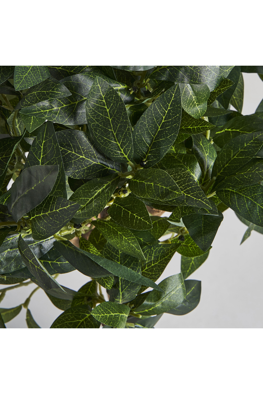 Mediterranean Artificial Plant | Vical Home Laurel | Oroa.com