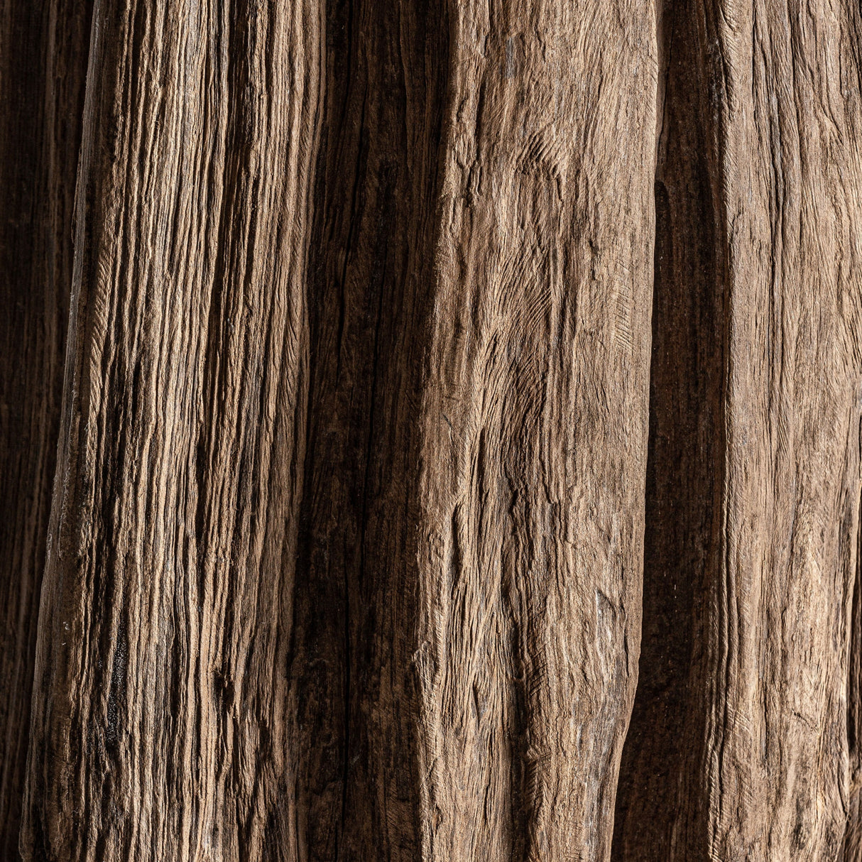 Rustic Tropical Wood Sculpture | Oroa.com