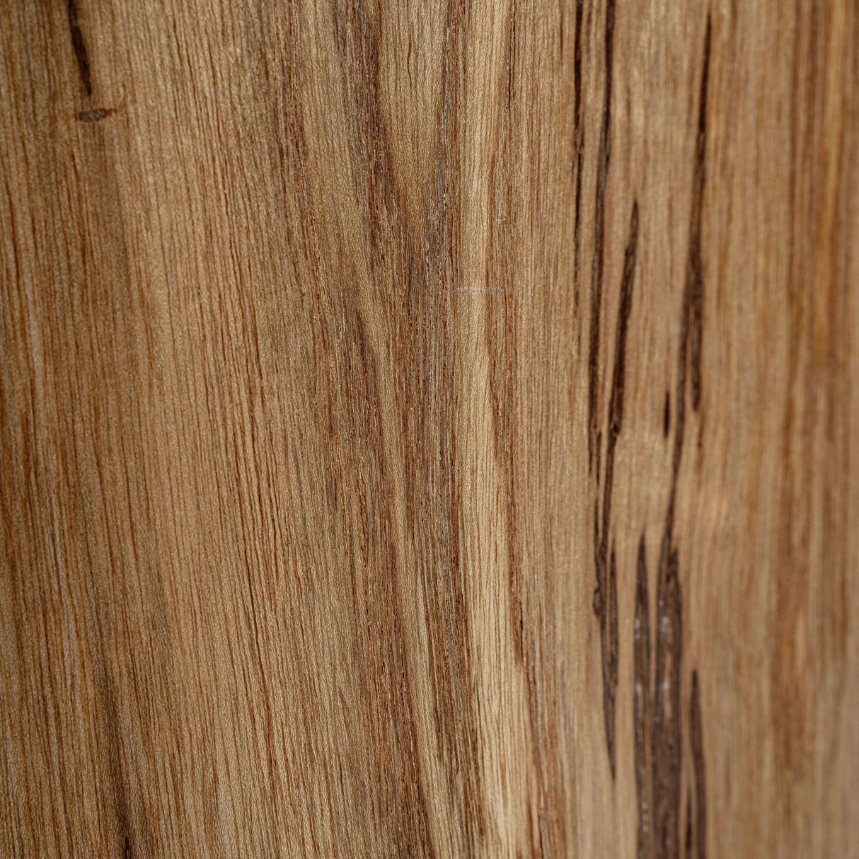 Natural Suar Wood Side Table | Oroa.com