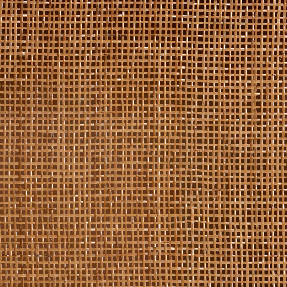 Modern European furniture - Arched Rattan Accent Cabinet - www.oroa.com