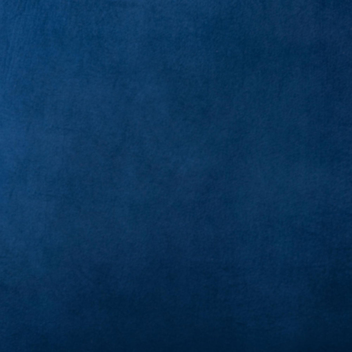 Modern European furniture - Blue Fabric Accent Chair - www.oroa.com