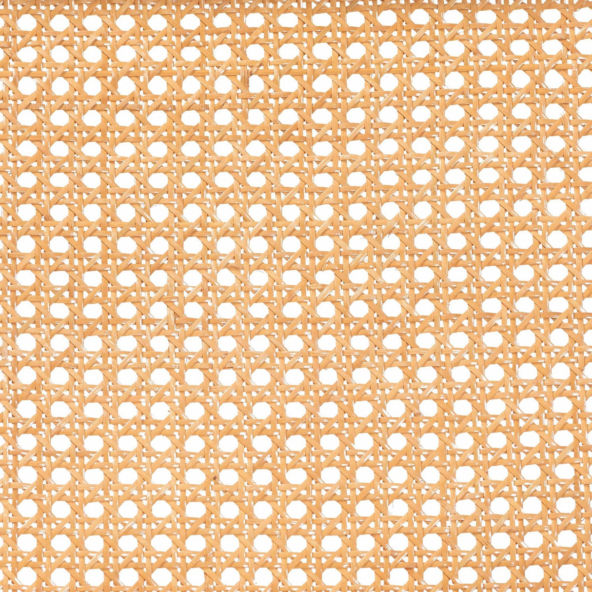 Modern European furniture - Rattan Cane Cushioned Lounge Chair - www.oroa.com