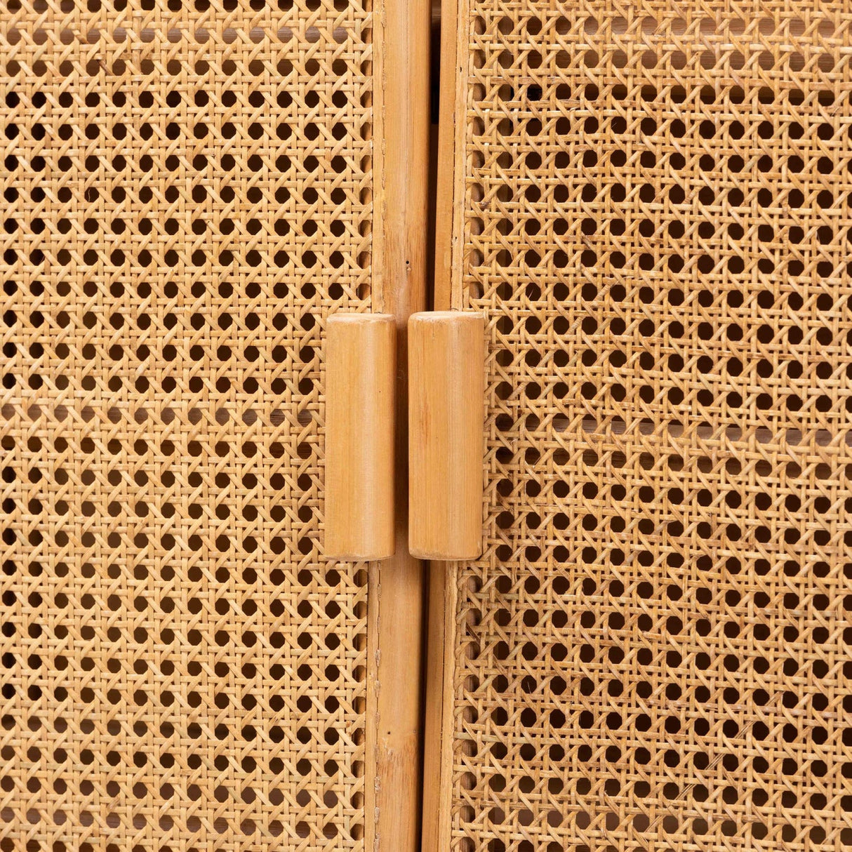 Modern European furniture - Rattan Bohemian Storage Cabinet - www.oroa.com