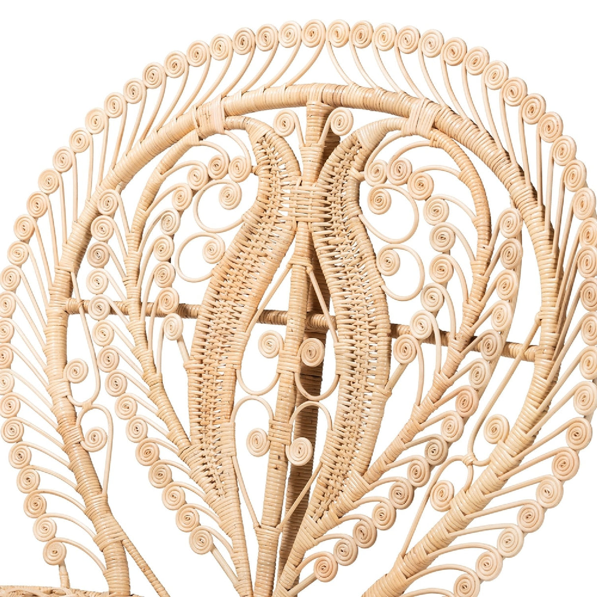 Modern European furniture - Rattan Indoor Semi Outdoor Peacock Accent Chair - www.oroa.com