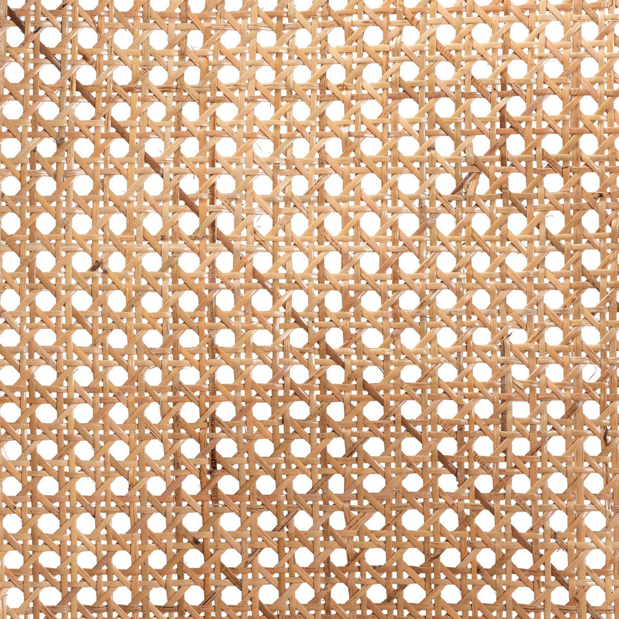 Modern European furniture - Black Framed Rattan Dining Chair - www.oroa.com