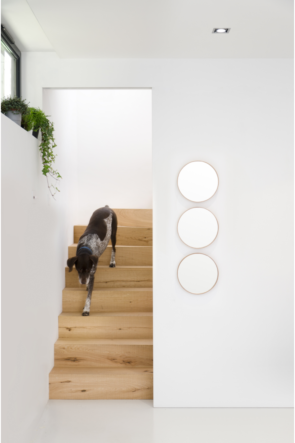 Oak Wooden Round Wall Mirror | Wireworks Glance 310 | Oroa.com