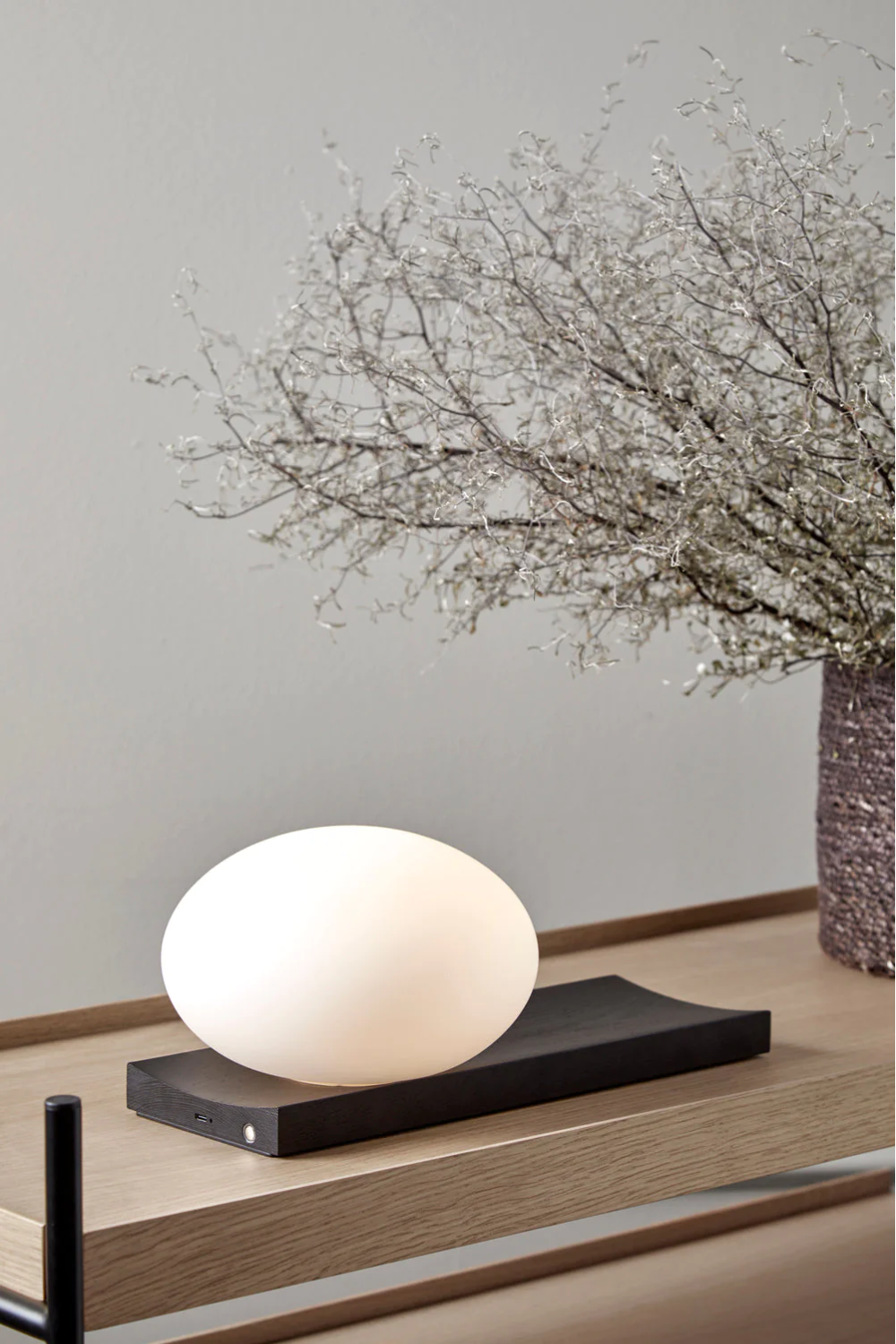 Contemporary Ovoid Table/Wall Lamp | Oroa.com