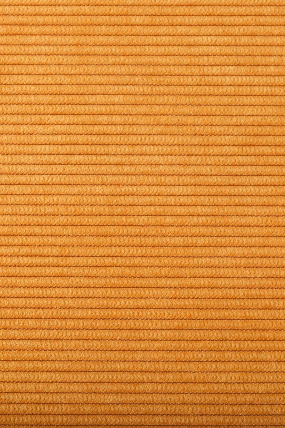 Cantilevered Ribcord Dining Chair (2) | Zuiver Ridge | Oroa.com