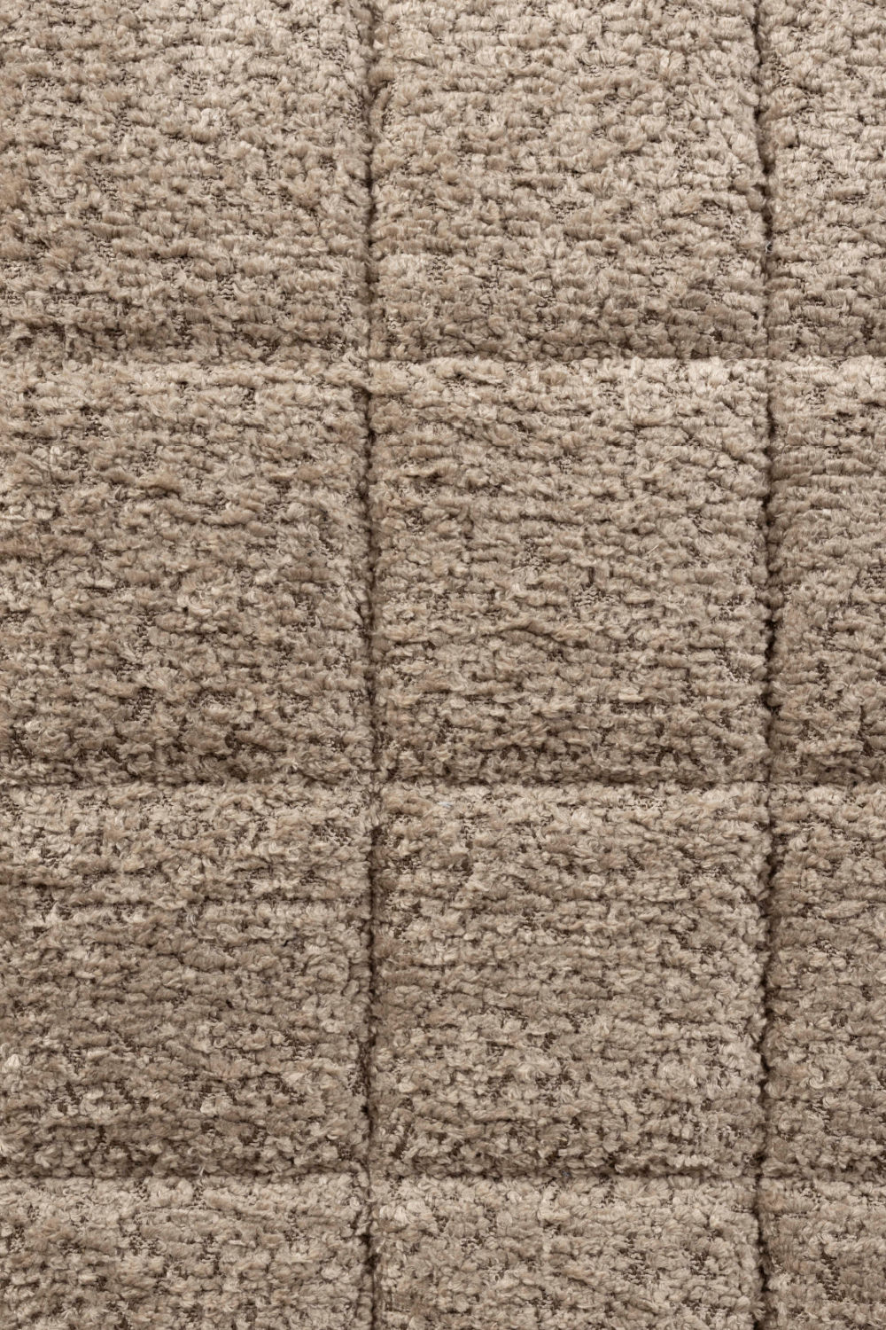 Quadrupod Shell Dining Chairs (2) | Zuiver OMG | OROA.com