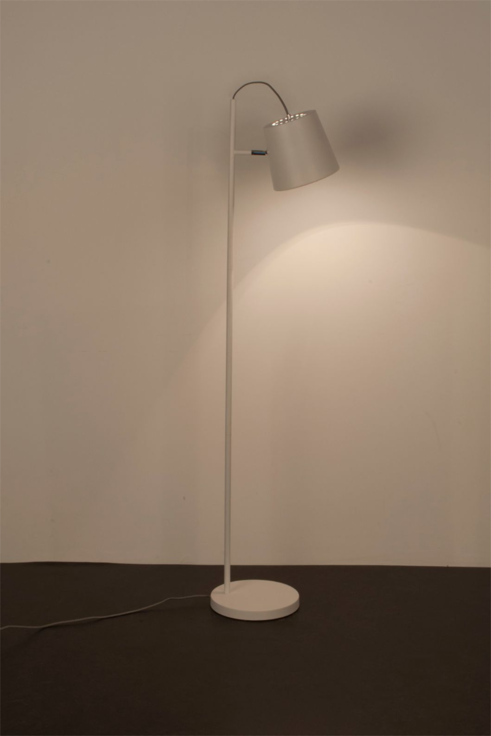 Tiltable Metal Floor Lamp | Oroa.com