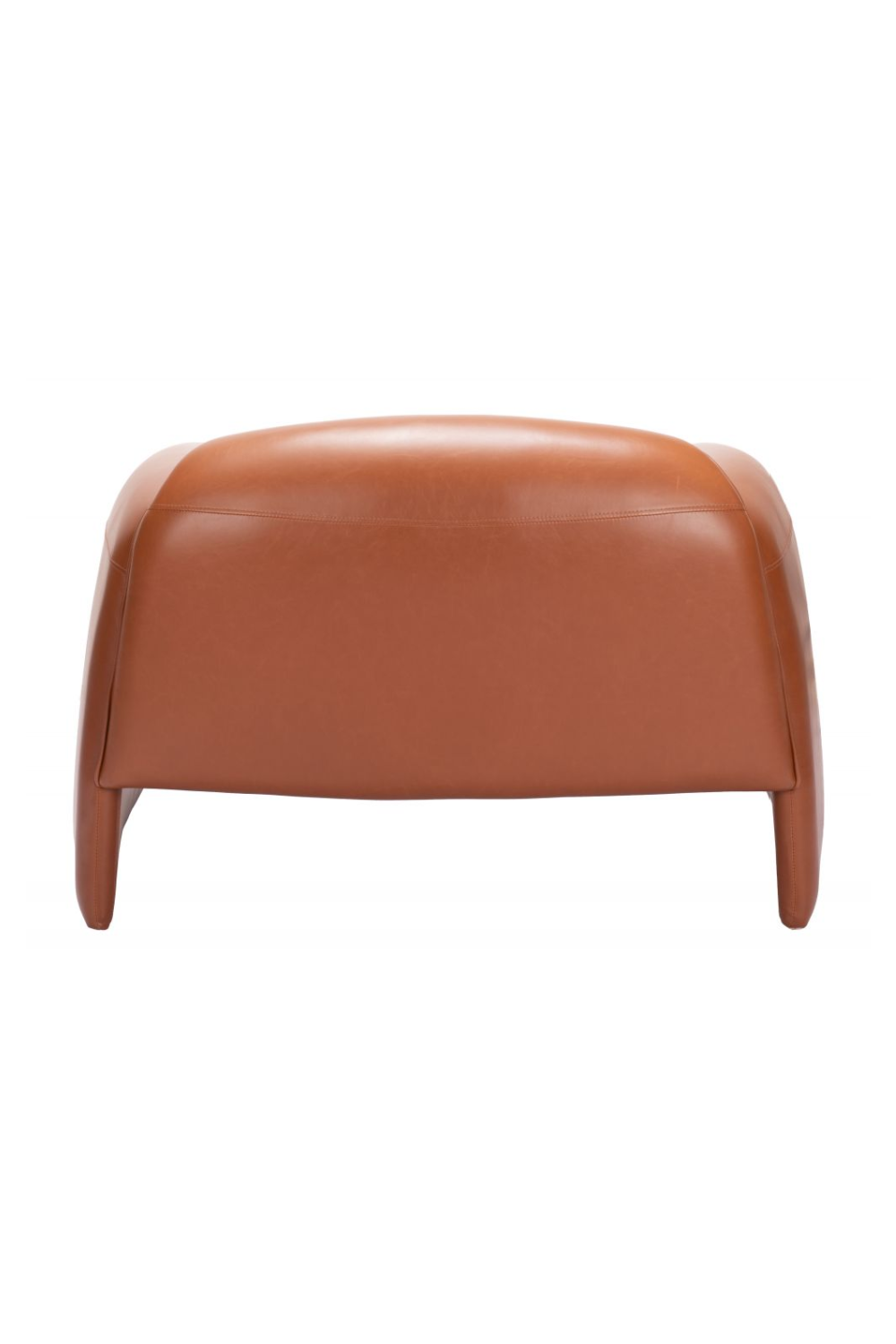 Leather Contemporary Accent Chair | OROA Modern Horten | Oroa.com