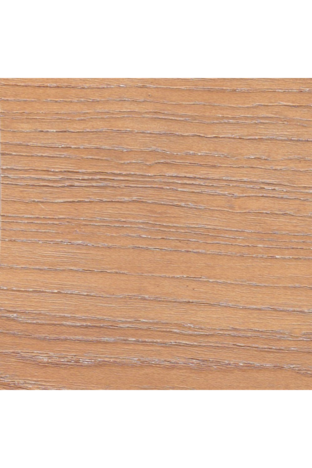 Whitewashed Elm Dining Chairs (2) | OROA Modern Peker | Oroa.com