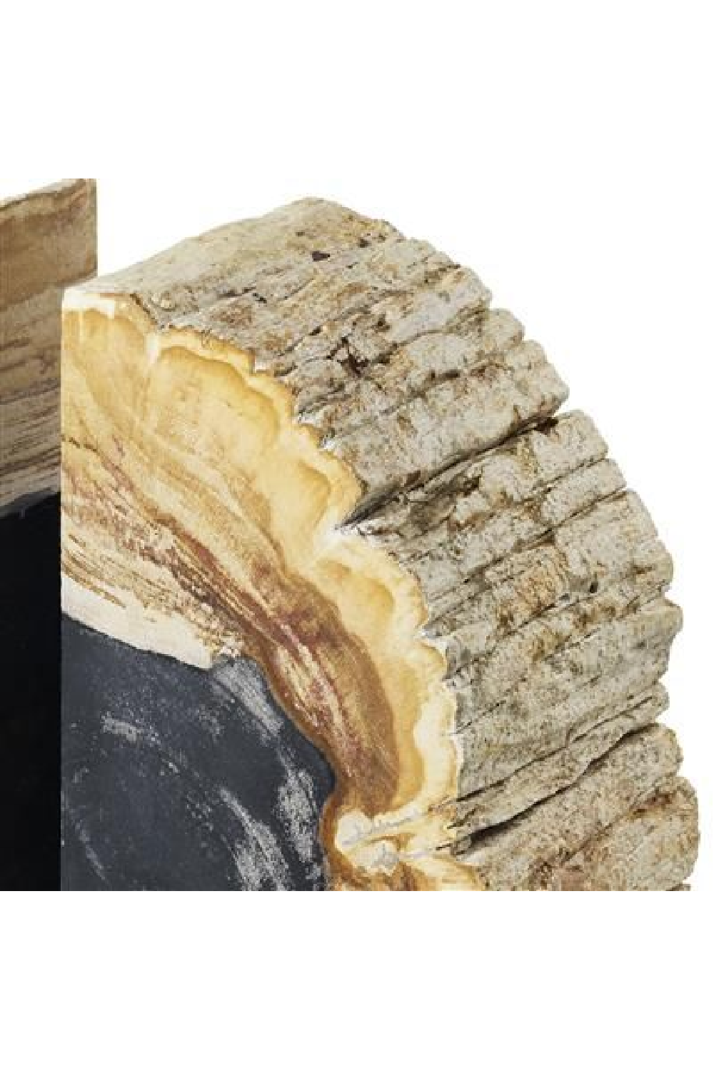 Petrified Wood Bookends | Eichholtz Opia | OROA