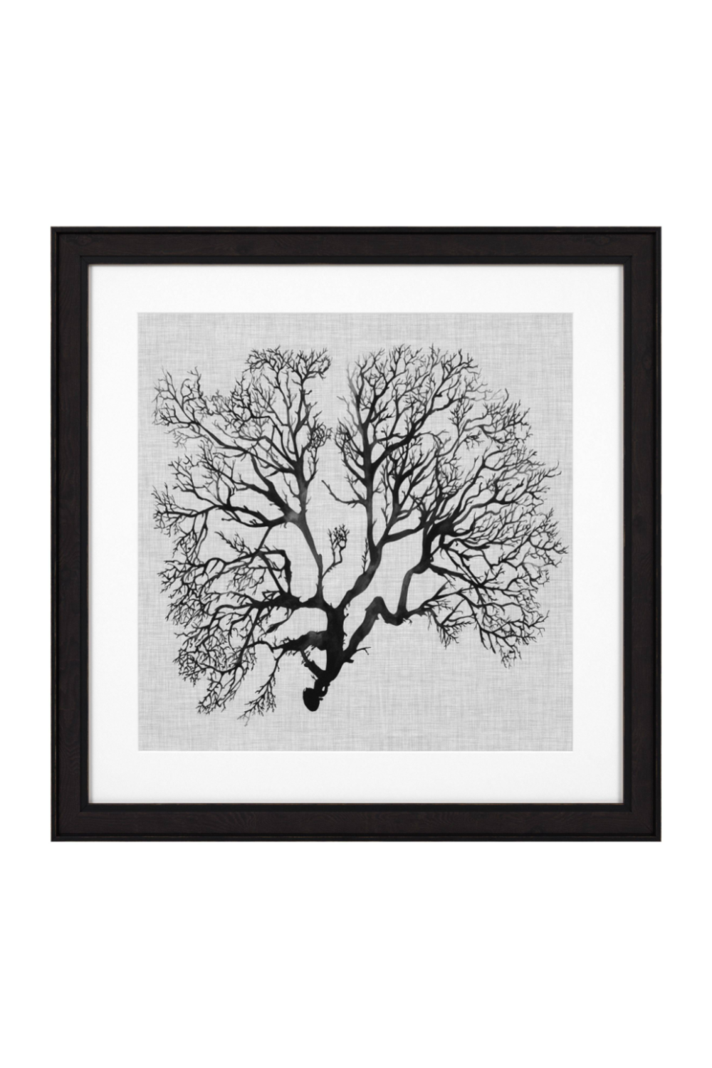 Coral Prints Set | Eichholtz Shadow Sea Fans | OROA