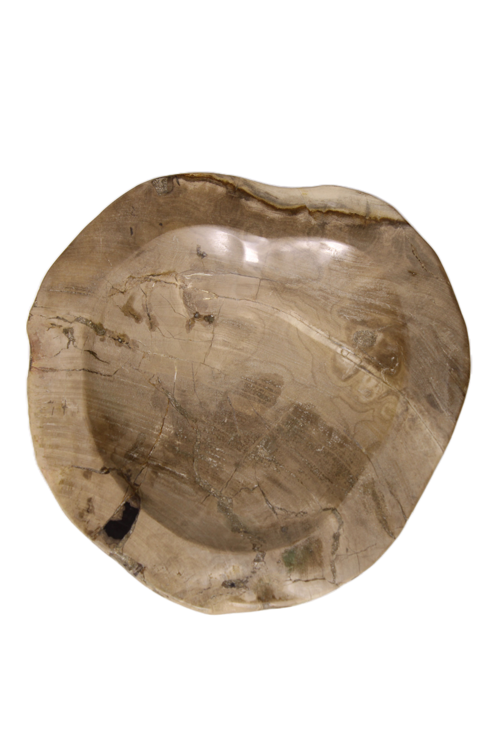 Natural Petrified Wood Tray | Andrew Martin | Oroa.com