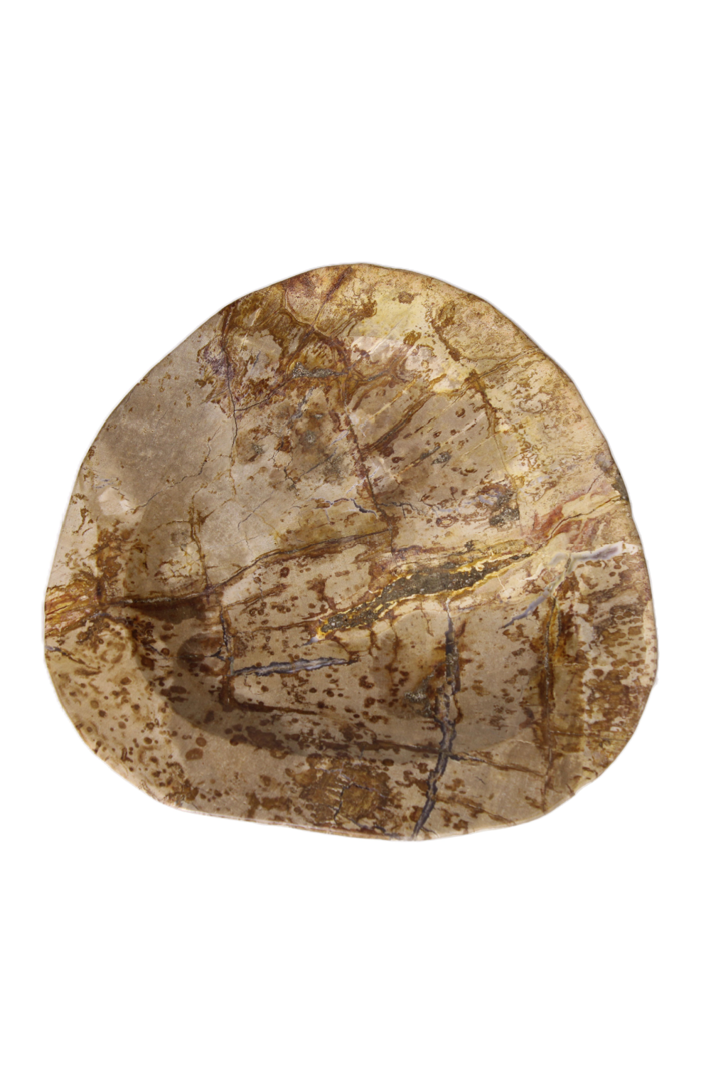 Natural Petrified Wood Tray | Andrew Martin | Oroa.com