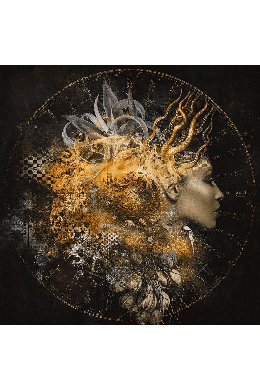 Mythical Symbols Photographic Art | Andrew Martin Golden Muse | Oroa.com
