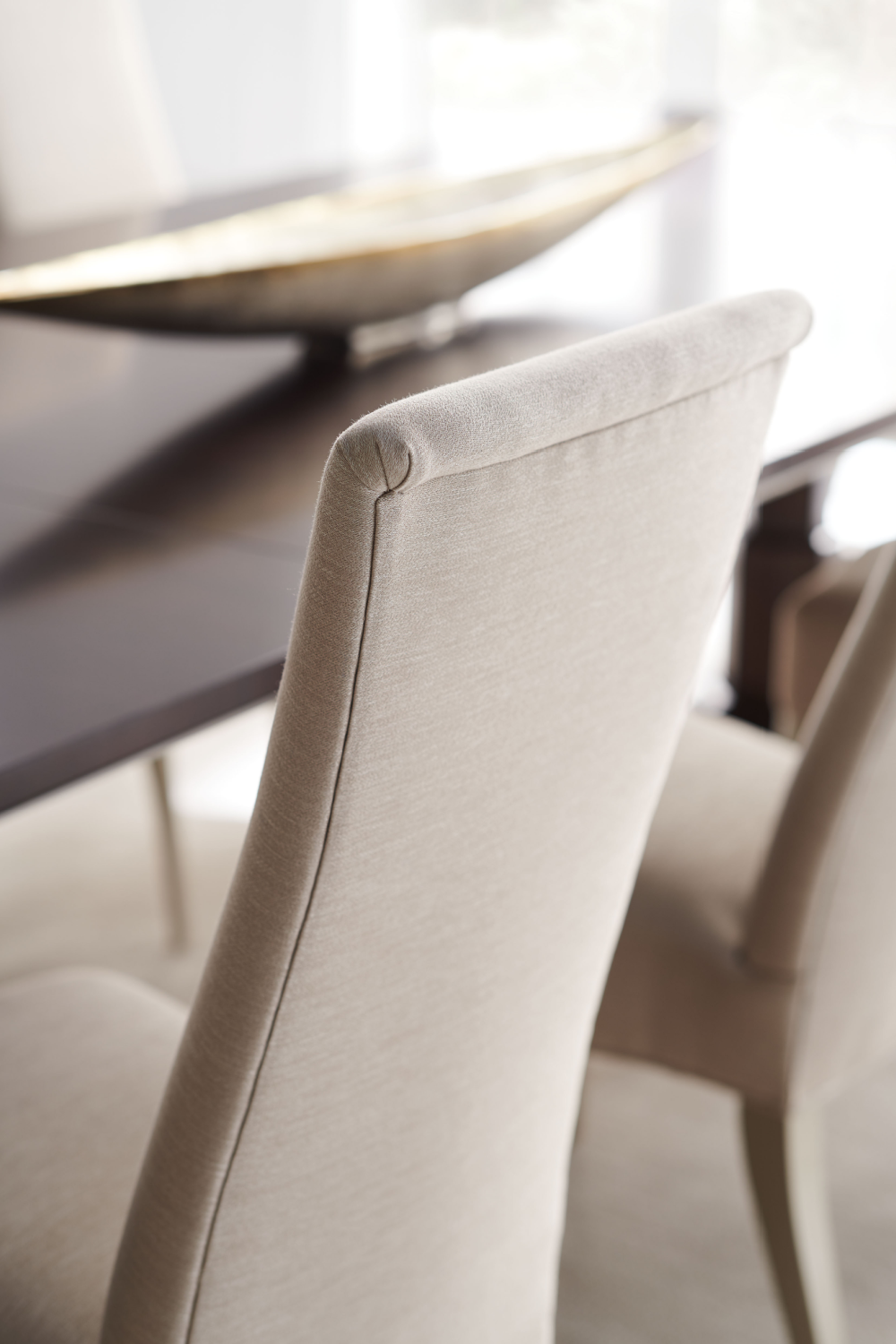 Modern Minimalist Dining Chair | Oroa.com