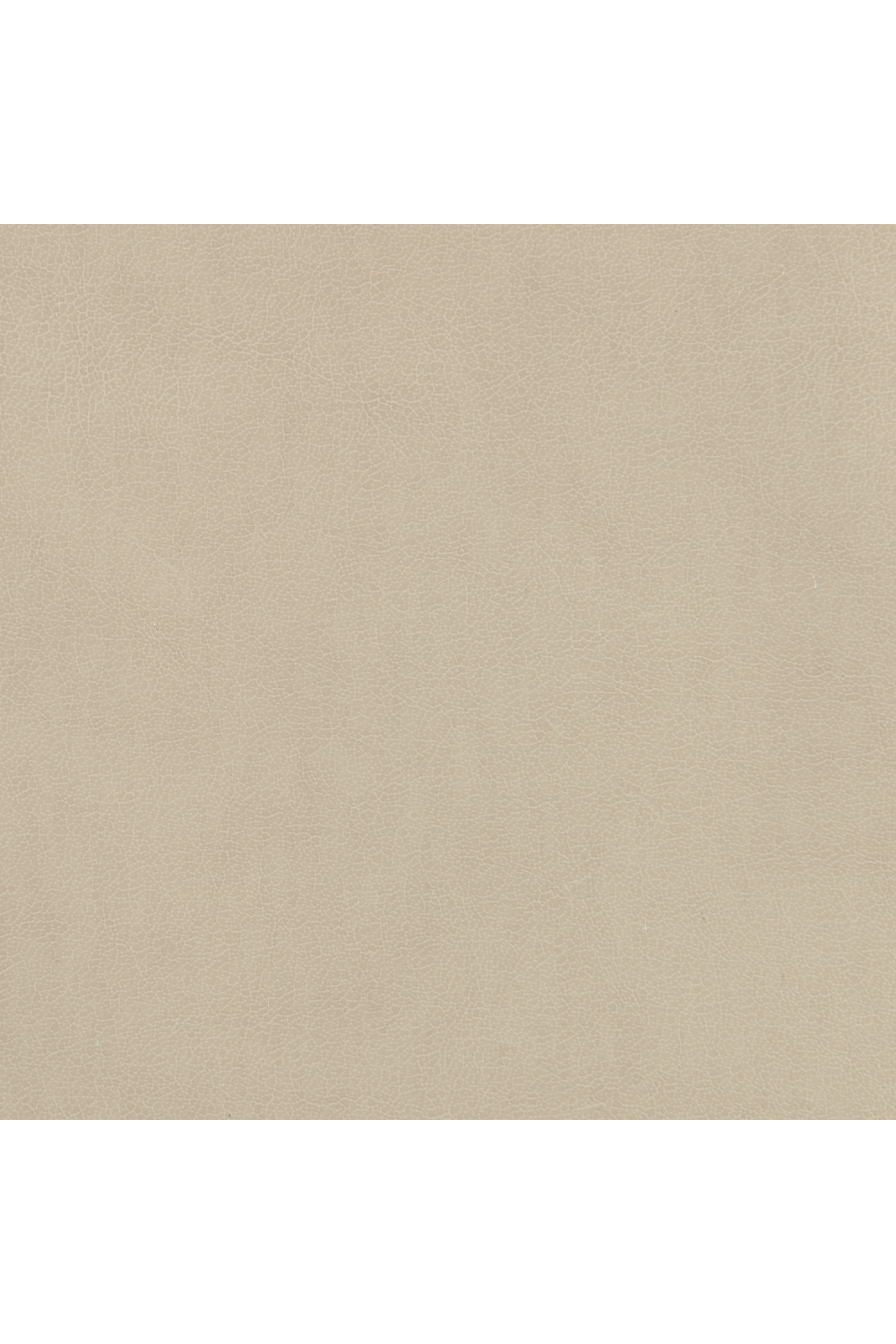 Tapered Back Beige Dining Chair | Oroa.com
