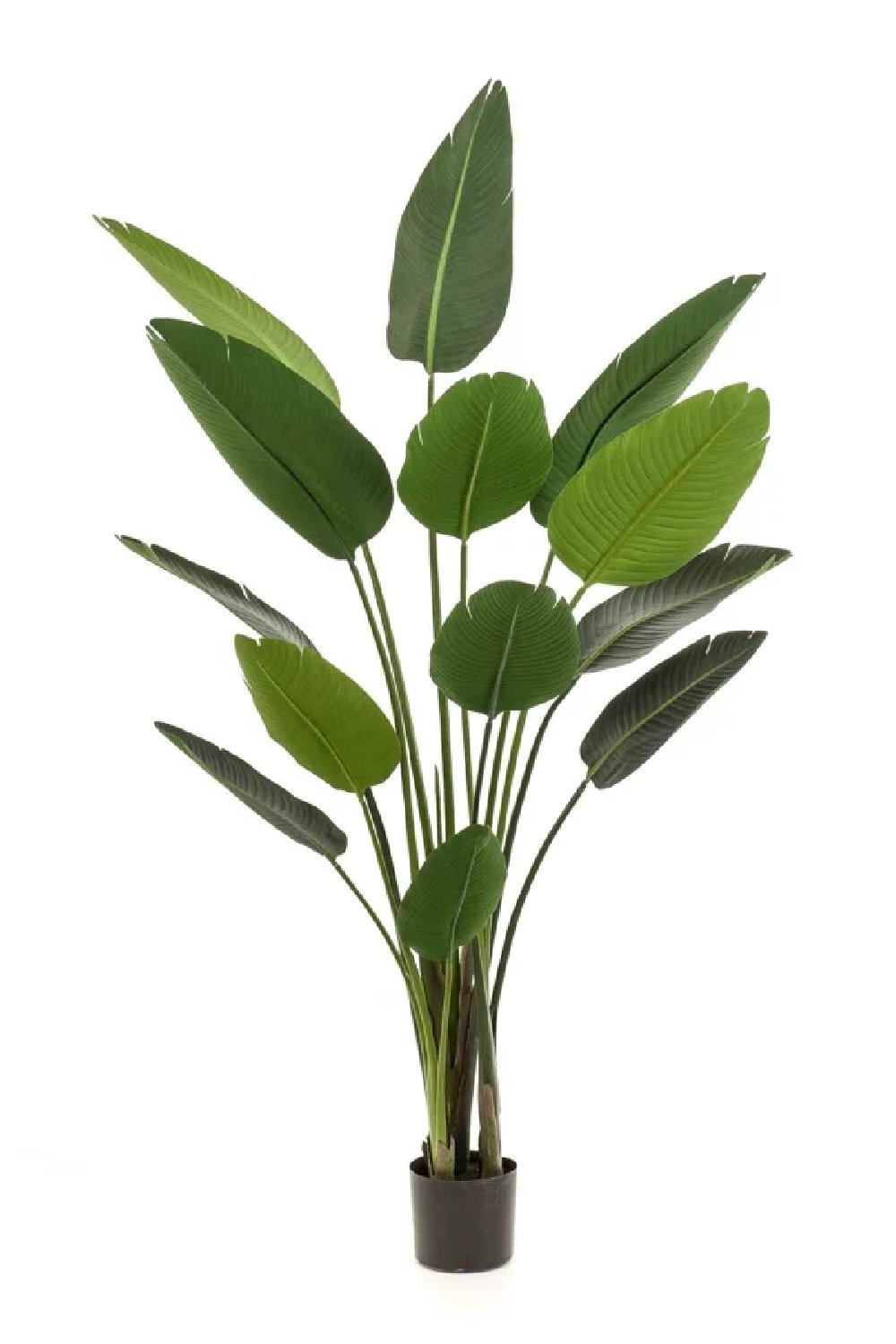 Potted Faux Houseplant Set (2) | Emerald Strelitzia | Oroa.com