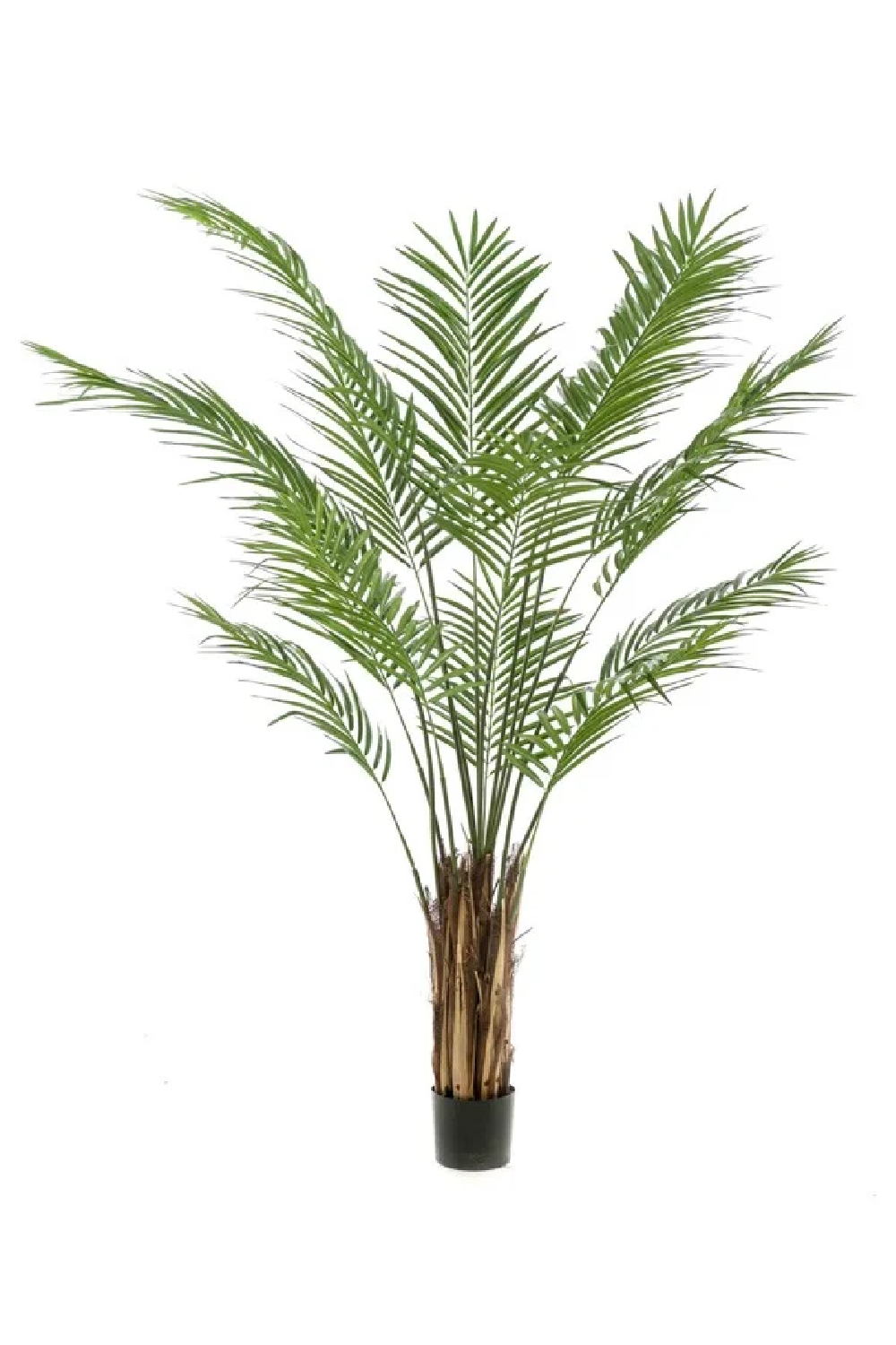 Artificial Tropical Plant Decor Set (2) | Emerald Areca | Oroa.com