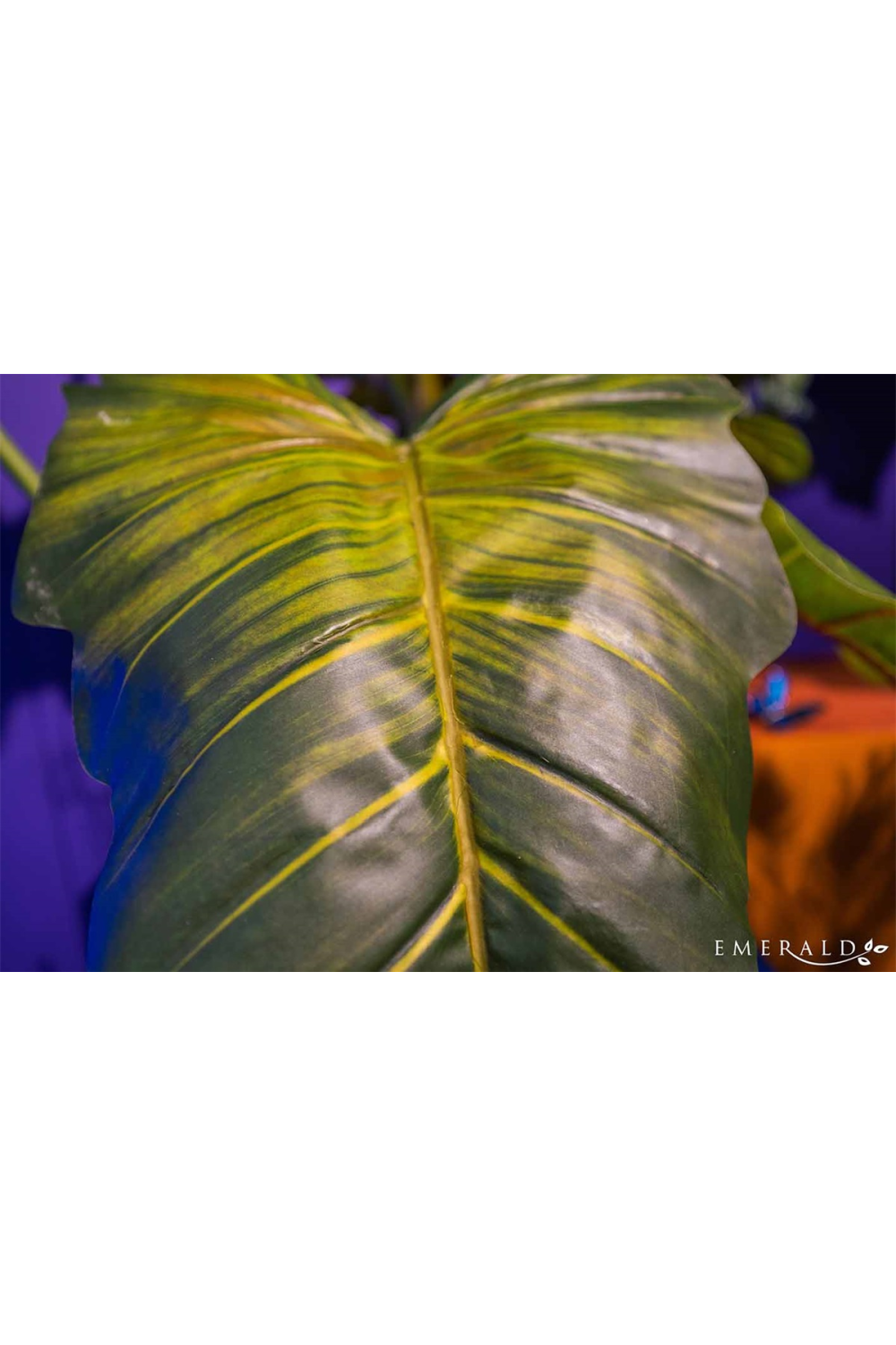 Artificial Elephant Ears Plant Set (2) | Oroa.com