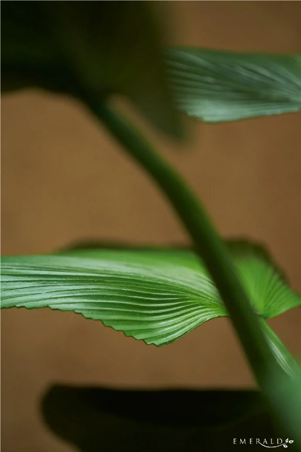 Faux Fan Palm Deco | Oroa.com