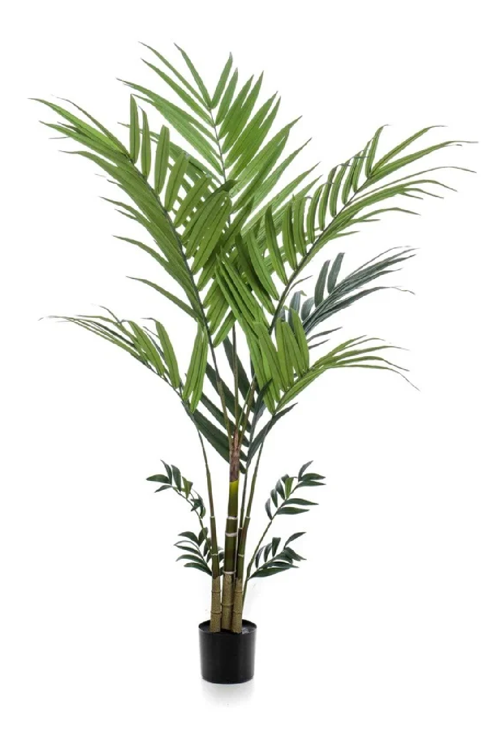 Artificial Tropical Palm Set (2) | Emerald Kentia | Oroa.com