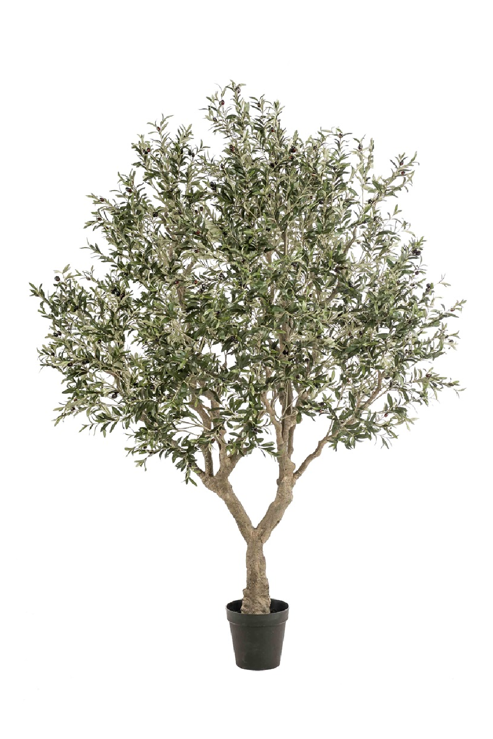Faux Mediterranean Evergreen Tree | Emerald Olive | Oroa.com