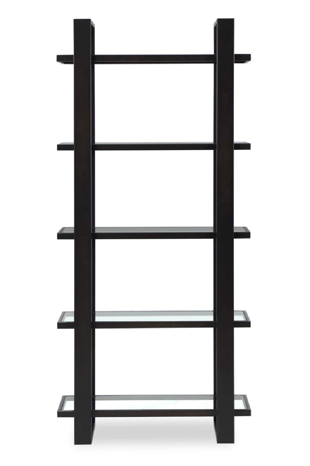Dark Brown/Black Metal Glass Bookcase | Liang & Eimil Arundel | Oroa.com