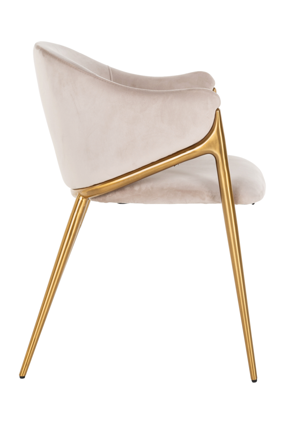 Modern Velvet Dining Chair | Richmond Interiors Gwen | Oroa.com