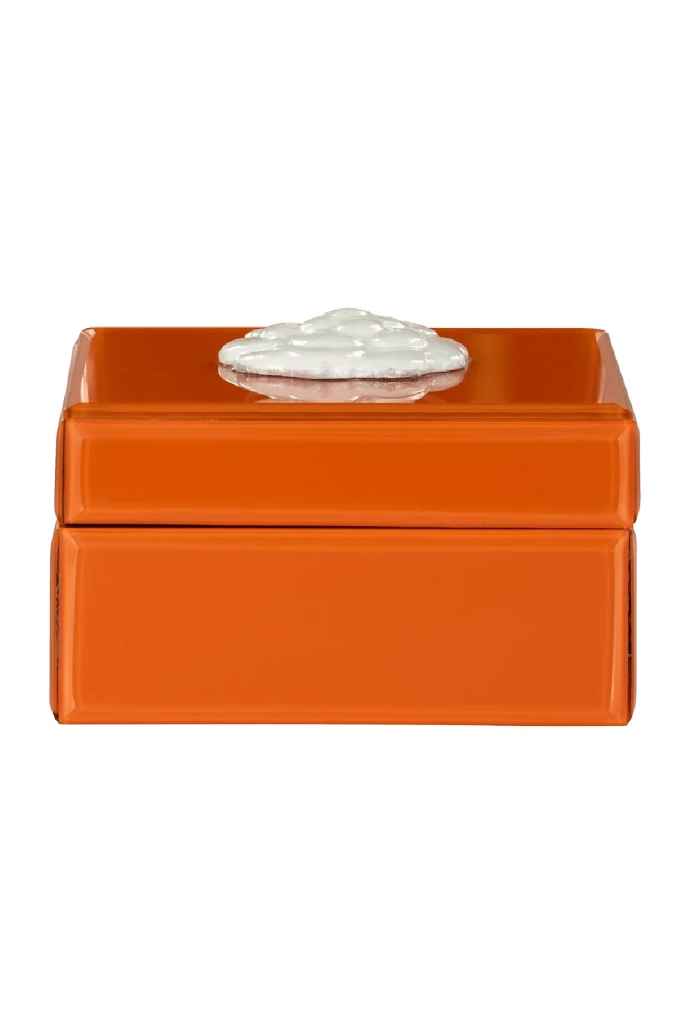 Orange Modern Storage Box | Richmond Interiors Lunia | Oroa.com