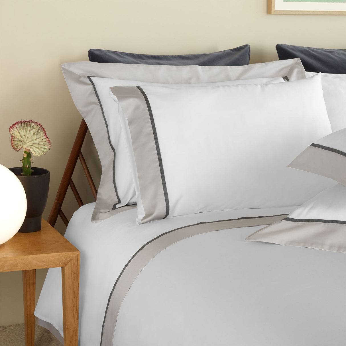 430TC Sateen Bordered Sham Set | Amalia Home Ovar | Oroa.com