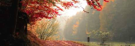 3 Simple Ways To Transition to Fall