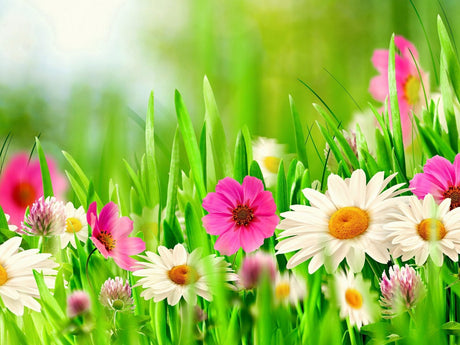 SPRING SALE EVENT | UP to 70% Discount