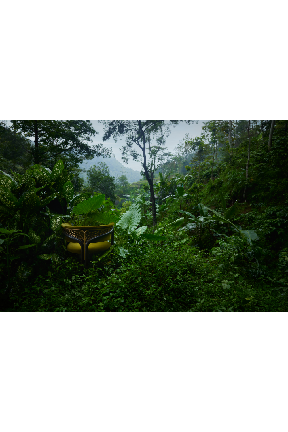 Metal Detail Curved Dining Chair | Morpho By Tomorrowland Volita | Oroa.com