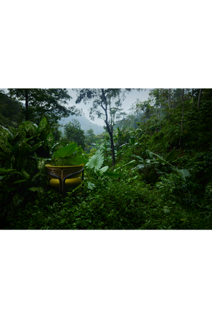 Metal Detail Curved Dining Chair | Morpho By Tomorrowland Volita | Oroa.com