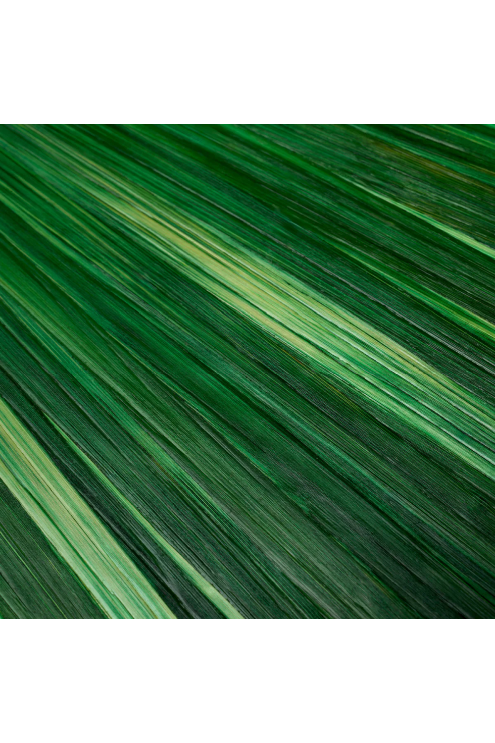 Straw Marquetry Box | Eichholtz Harvard | Oroa.com