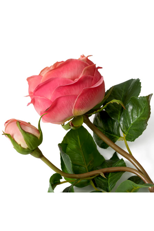 Artificial Garden Roses Bouquet (72pcs) | Eichholtz Roses | Oroa.com