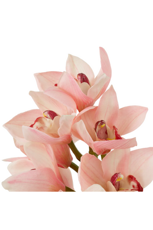 Pink Artificial Orchids Bouquet (36pcs) | Eichholtz Cymbidium | Oroa.com