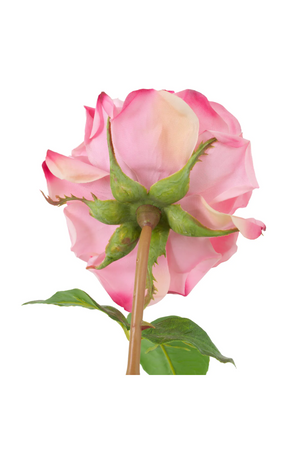 Three-Toned Faux Roses (72) | Eichholtz | Oroa.com