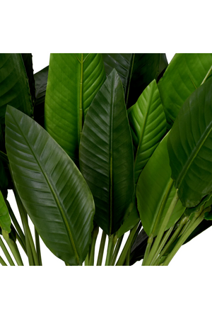Artificial Green Leaves (36) | Eichholtz Strelitzia | Oroa.com
