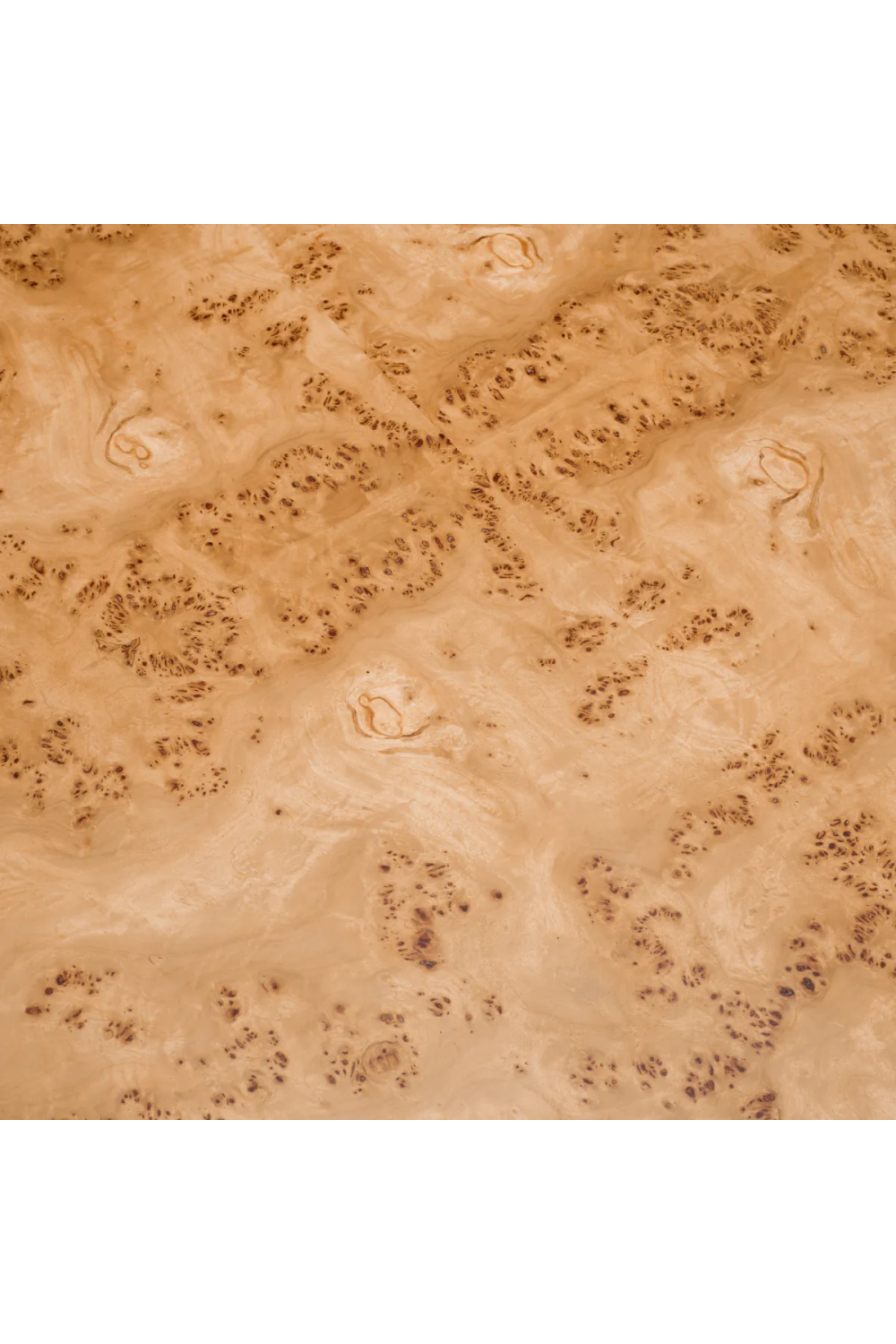 Arched Mappa Burl Side Table | Eichholtz Quinton | Oroa.com