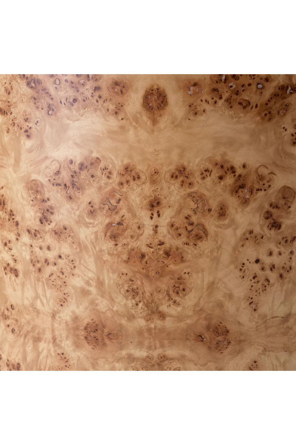 Mappa Burl Side Chair | Eichholtz Arcadia | Oroa.com